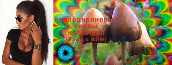 амфетамин Белокуриха