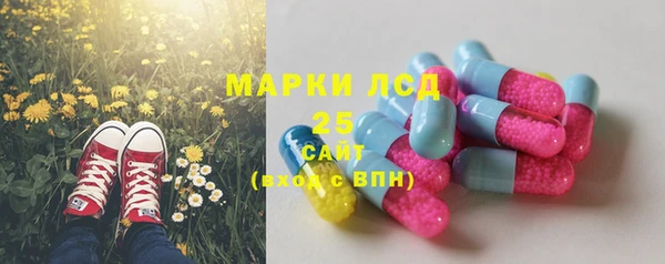 ECSTASY Богданович