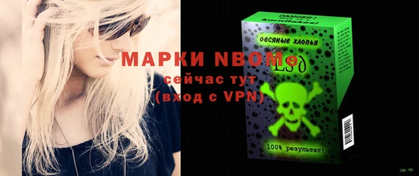 spice Богородск