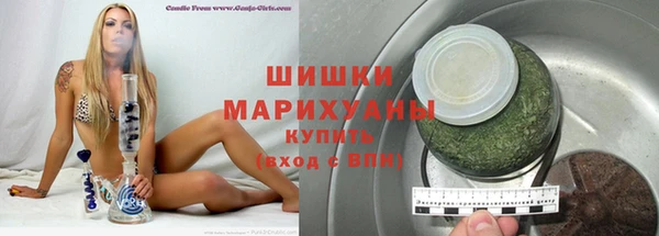 ECSTASY Богданович