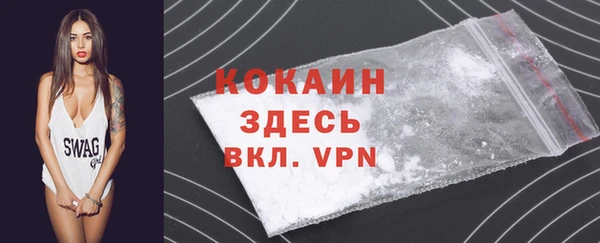 ECSTASY Богданович