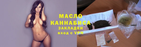 spice Богородск