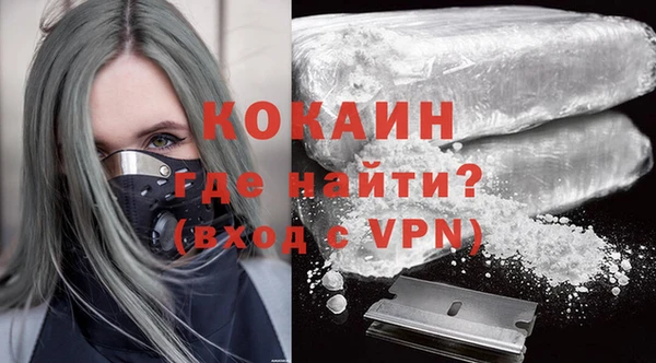 ECSTASY Богданович