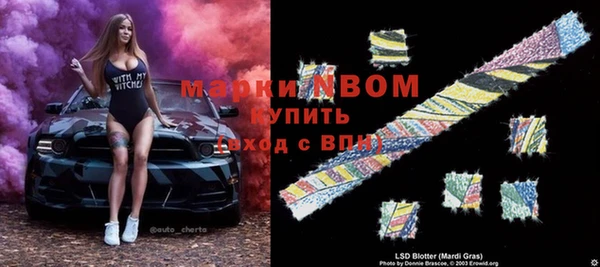 spice Богородск
