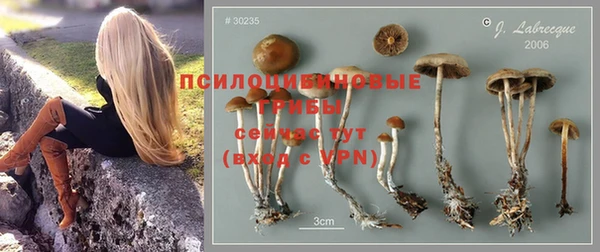 ALPHA PVP Баксан