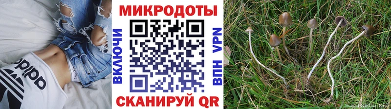 МЕГА сайт  Вельск  Галлюциногенные грибы Cubensis 